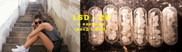 PSILOCYBIN Беломорск