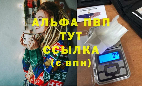 PSILOCYBIN Беломорск