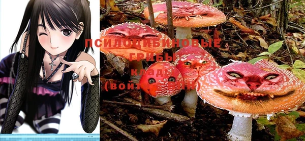 PSILOCYBIN Беломорск