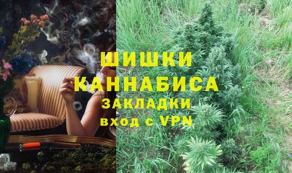 PSILOCYBIN Беломорск