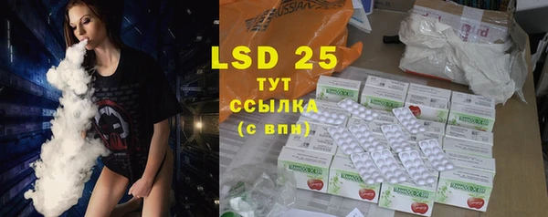 PSILOCYBIN Беломорск